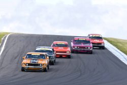 A great mix - Calleja and Attwell's Mustangs, Gilfuis' Capri, Bourke's Charger and Pillekers' Torana