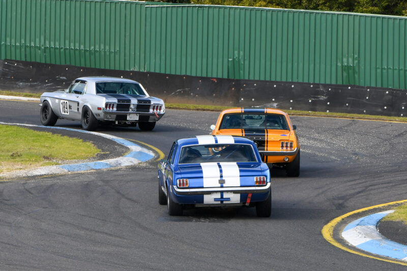 Mustangs Rule