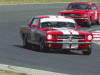 09musclecarmastersmoron