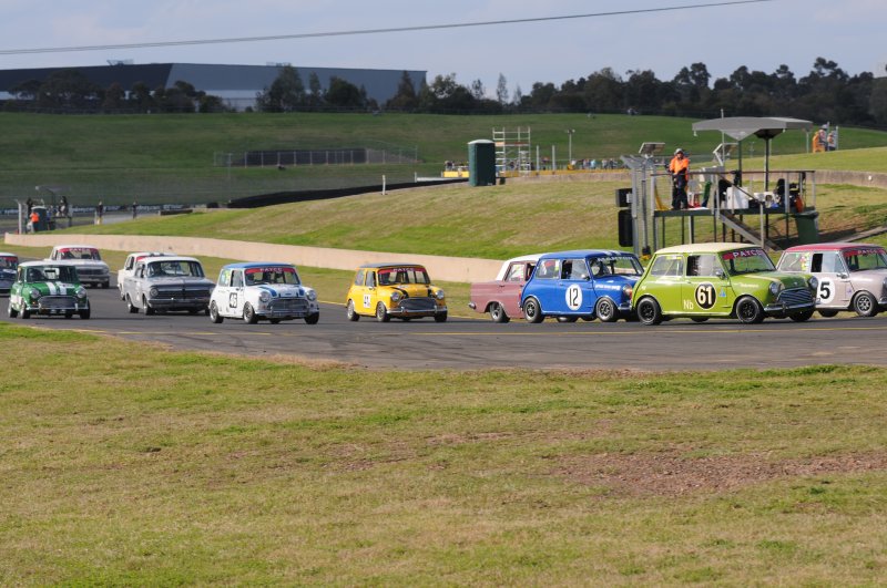 Minis seem to be breeding