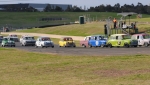 Minis seem to be breeding
