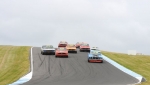 Hot Chicken gets the jump while the pack manoeuvre to pounce
