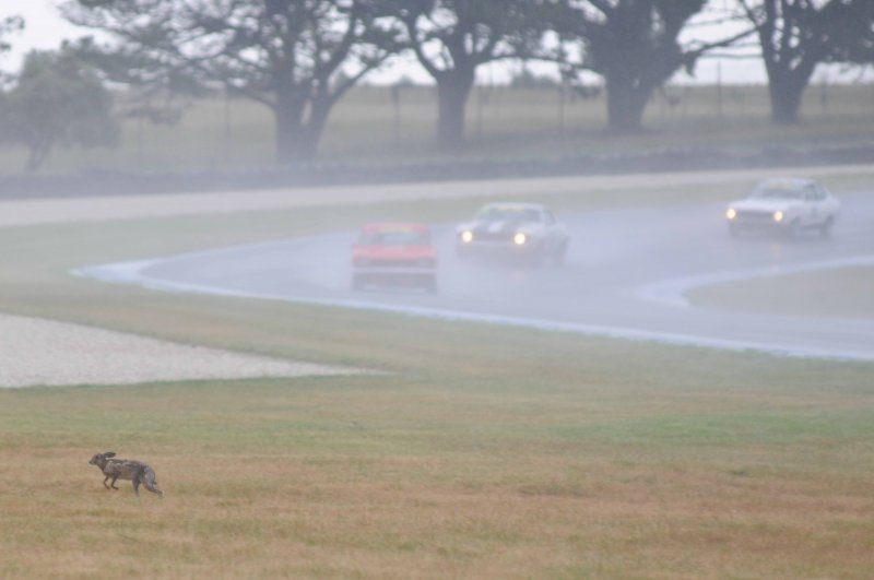 Thought the Hares had retired from racing...