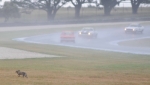 Thought the Hares had retired from racing...